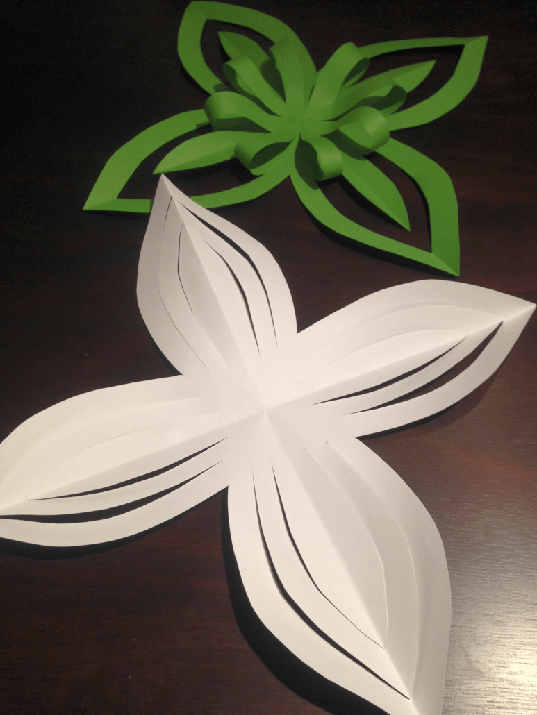 Aviary Photo_130333712419471544