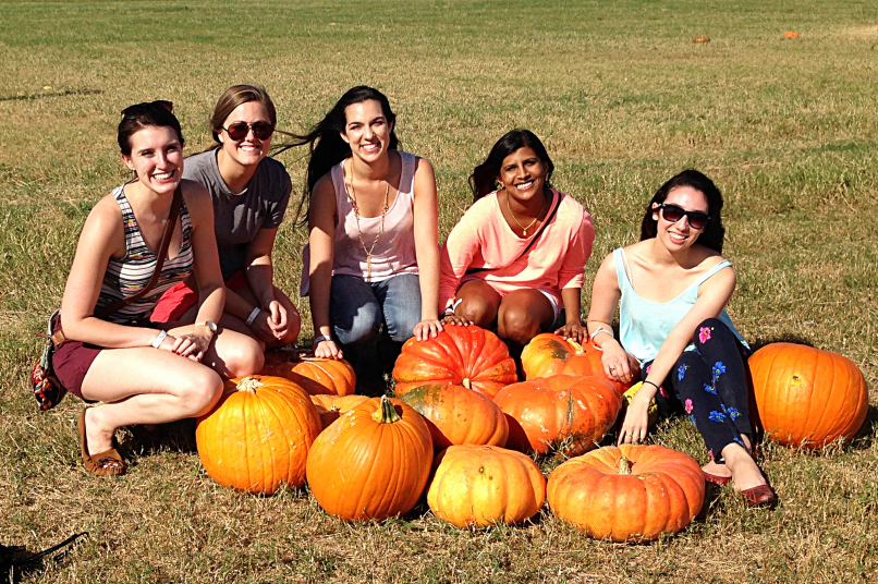 Pumpkin Cupcakes with Cinnamon Cream Cheese Frosting by Bunny Baubles 1
