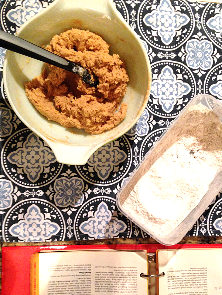 Peanut Butter Cocoa Swirl Cookies by Bunny Baubles 1