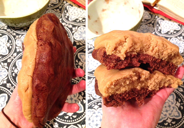 Peanut Butter Cocoa Swirl Cookies by Bunny Baubles 2