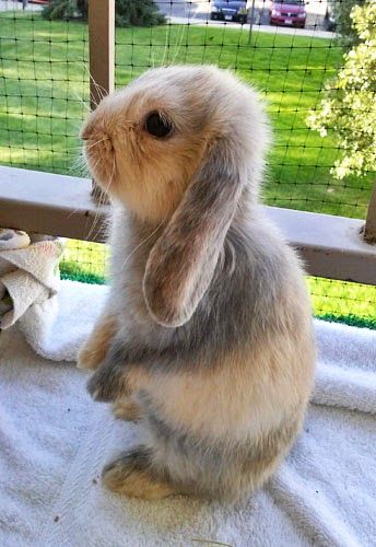 Credit: picsaweb.google.com