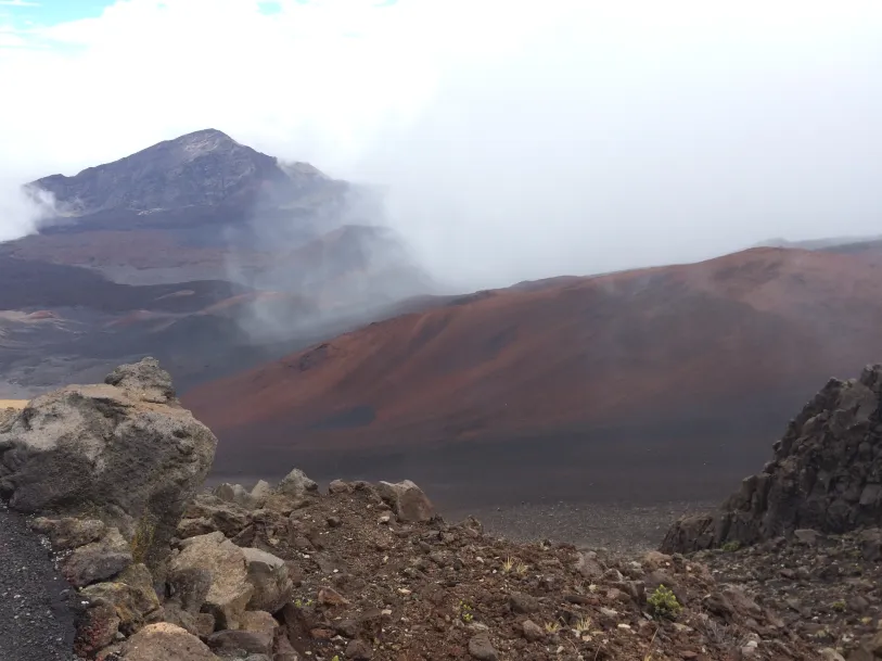 Luau Loving by Bunny Baubles Blog 25