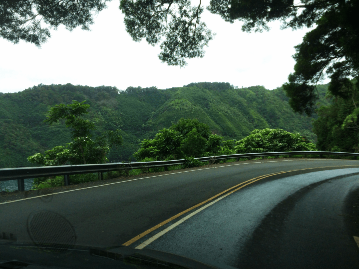 Maui Hawaii Vacation Part 1 by Bunny Baubles Blog 13