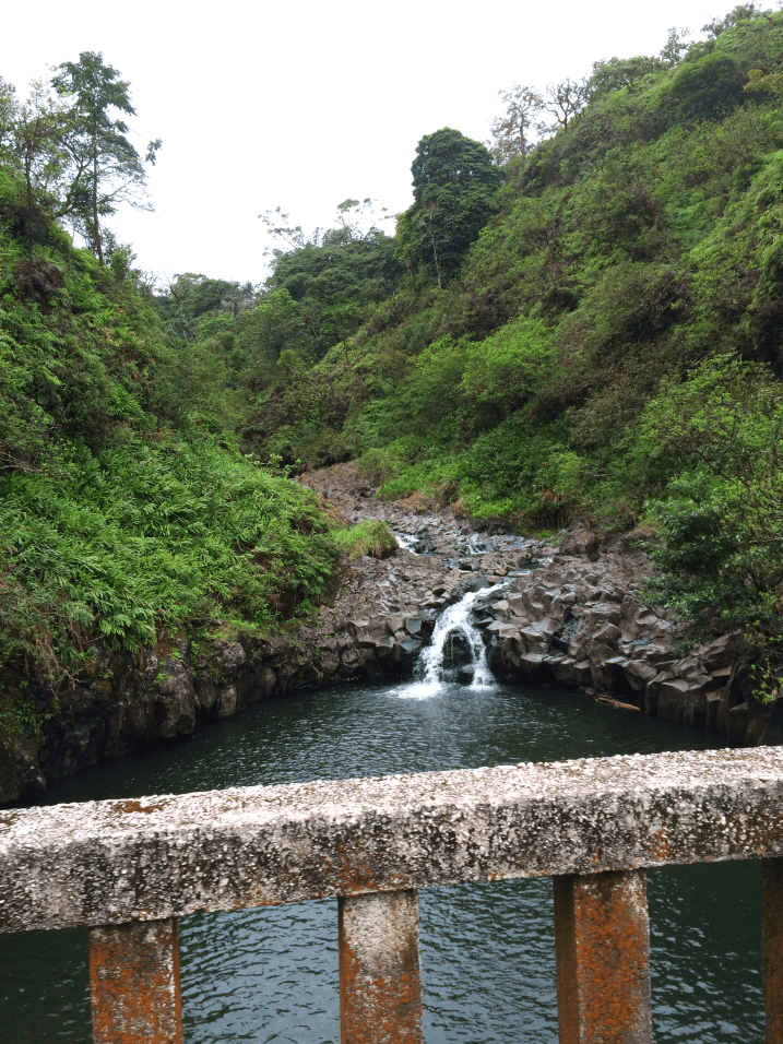 Maui Hawaii Vacation Part 1 by Bunny Baubles Blog 16