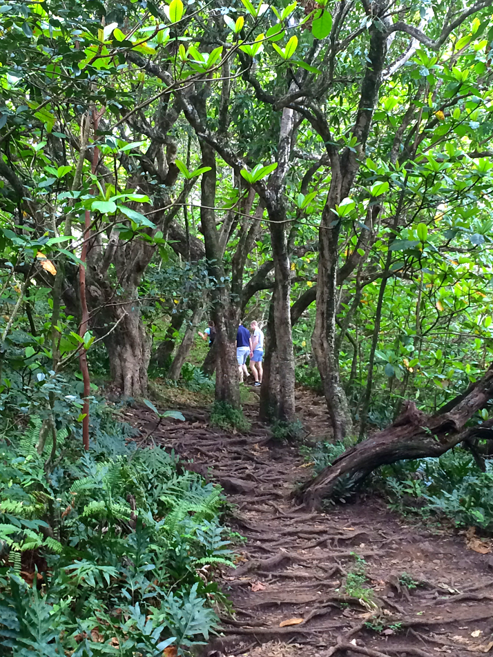 Maui Hawaii Vacation Part 1 by Bunny Baubles Blog 19