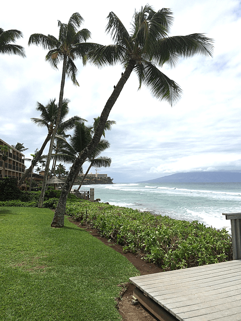 Maui Hawaii Vacation Part 1 by Bunny Baubles Blog 2