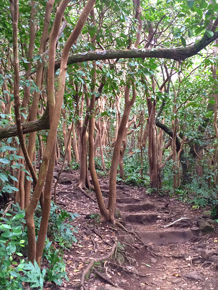 Maui Hawaii Vacation Part 1 by Bunny Baubles Blog 21