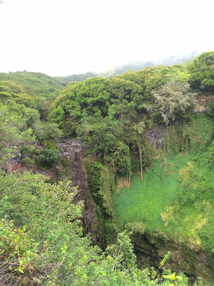 Maui Hawaii Vacation Part 1 by Bunny Baubles Blog 22