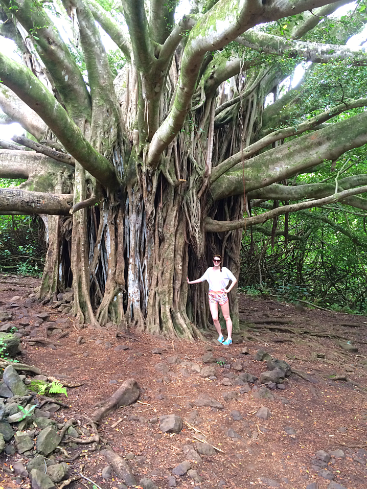 Maui Hawaii Vacation Part 1 by Bunny Baubles Blog 24