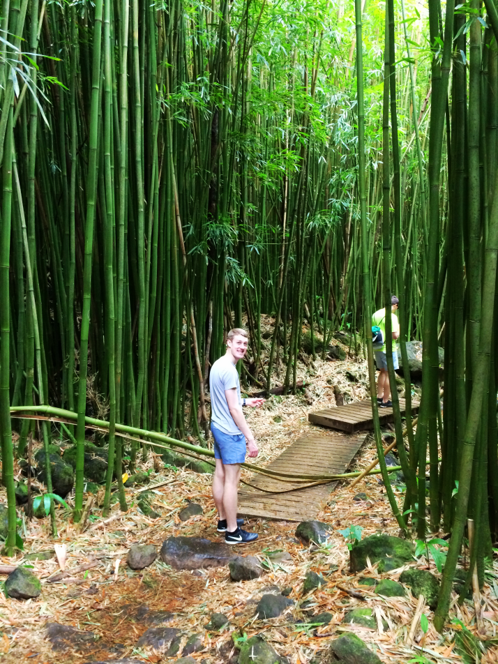 Maui Hawaii Vacation Part 1 by Bunny Baubles Blog 31