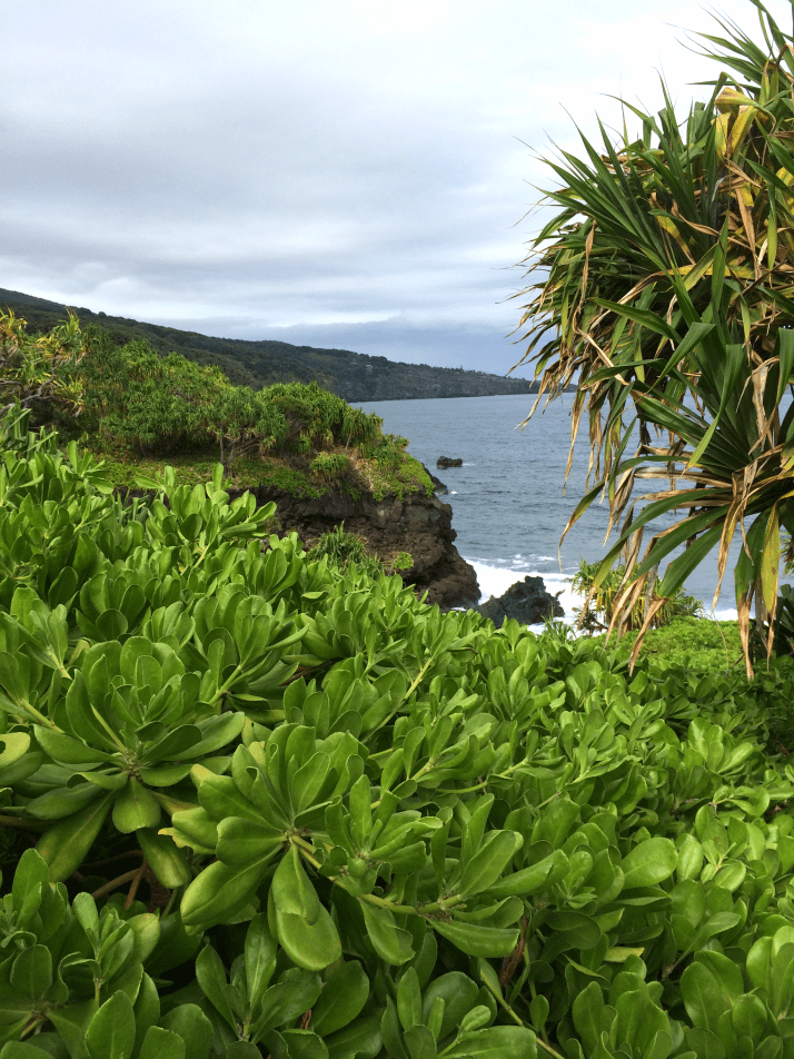 Maui Hawaii Vacation Part 1 by Bunny Baubles Blog 34