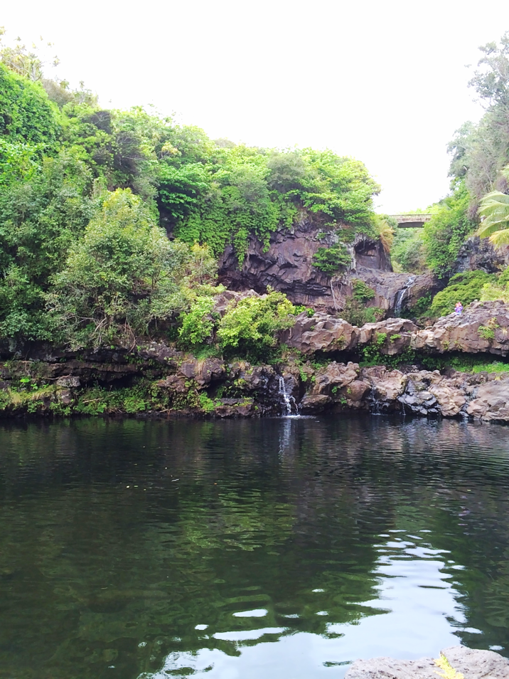 Maui Hawaii Vacation Part 1 by Bunny Baubles Blog 36