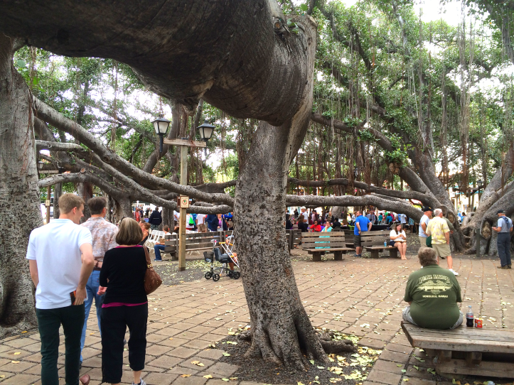 Maui Hawaii Vacation Part 1 by Bunny Baubles Blog 6