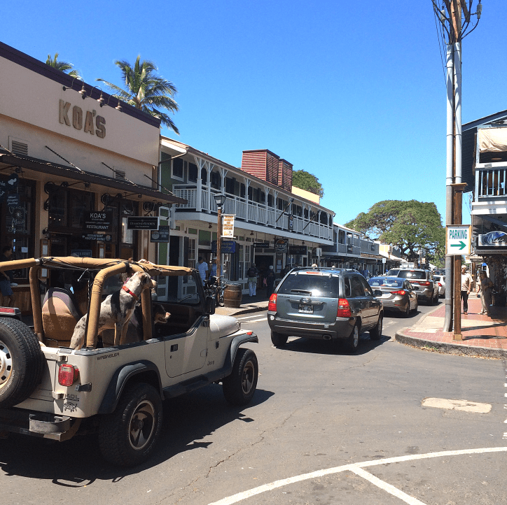 Maui Hawaii Vacation Part 1 by Bunny Baubles Blog 8