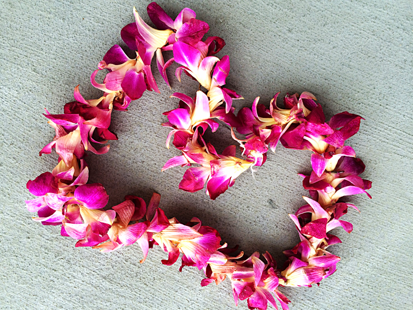 Homemade Floral Body Scrub by Bunny Baubles 1