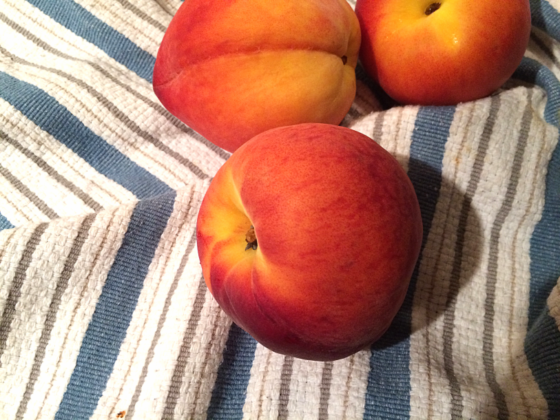 Peaches n' S'Cream Ice Cream by Bunny Baubles 1