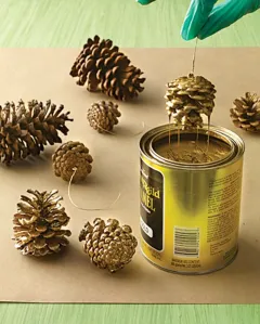 Gold Dipped pinecones
