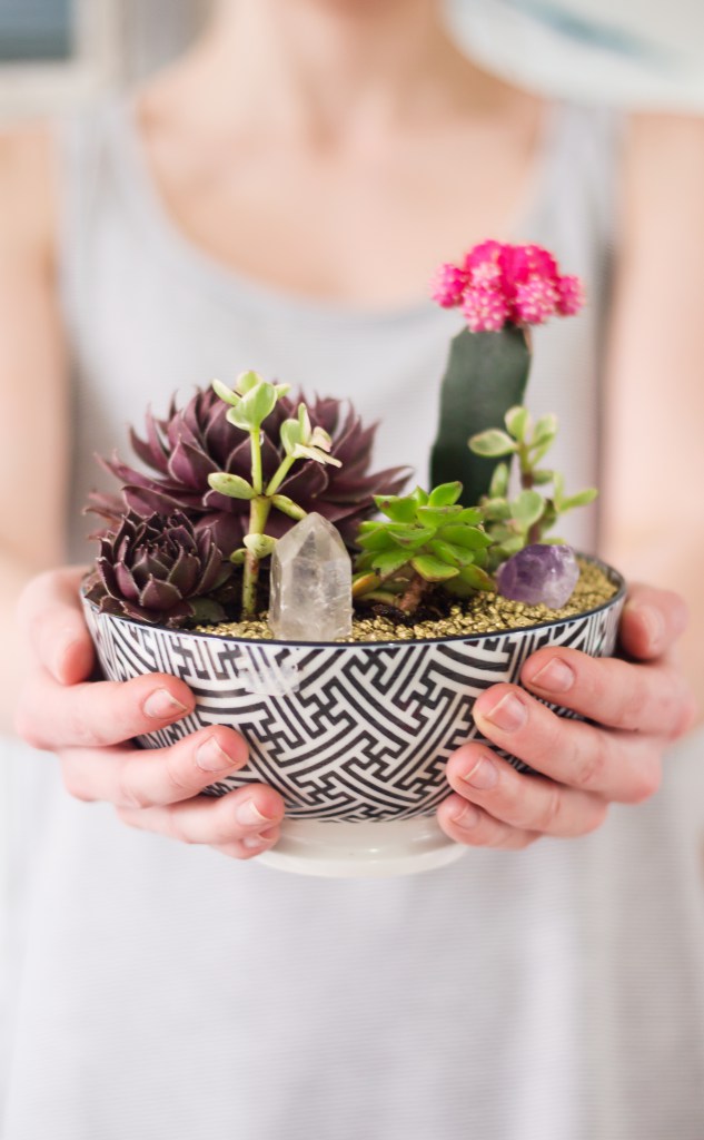 Photo Credit: The Blondie Locks