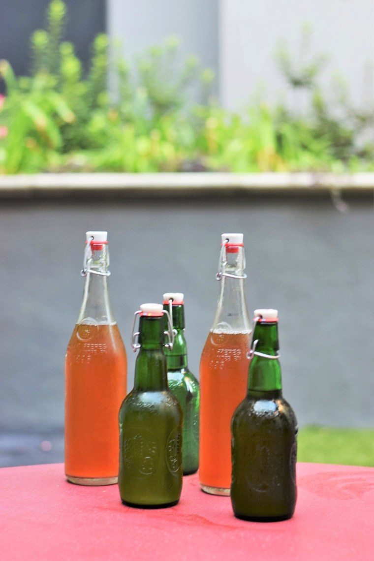 beer-brewing-with-craft-a-brew-by-bunny-baubles-3